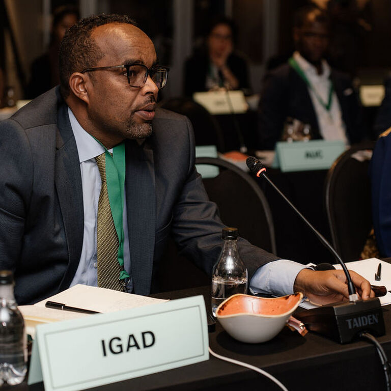 Africas Urban Future Resilient Risk Informed Ready 8