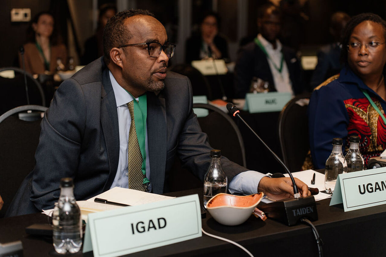 Africas Urban Future Resilient Risk Informed Ready 8