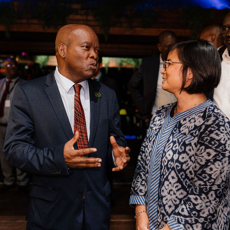 Africas Urban Future Resilient Risk Informed Ready 12