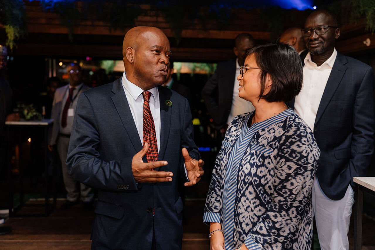 Africas Urban Future Resilient Risk Informed Ready 12