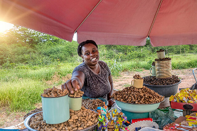 Building Resilient African Cities: Join Amina's Journey Through Risk-Informed Urban Development